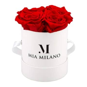 cajas rosas conservadas eternas mia milano