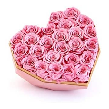mejores cajas corazon rosas preservadas