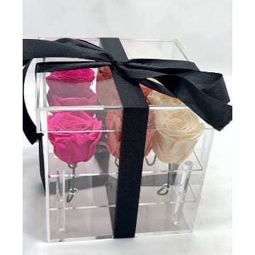 mejores cajas transparentes rosas preservadas colores comprar