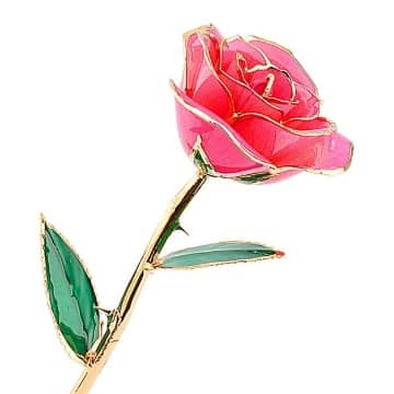 rosa real rosa chapada en oro