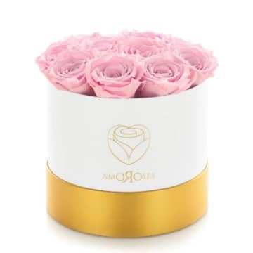 mejores cajas rosas preservadas rosas comprar