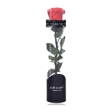 Rosa roja Natural Preservada comprar