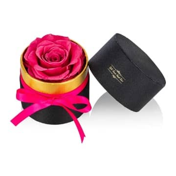 rosa roja en caja redonda