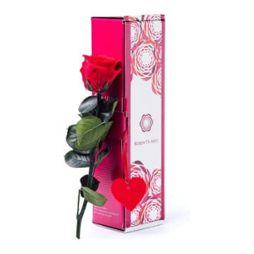 rosa preservada caja regalo san valentin