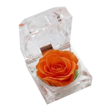 mejores cajas acrilicas con rosas preservadas