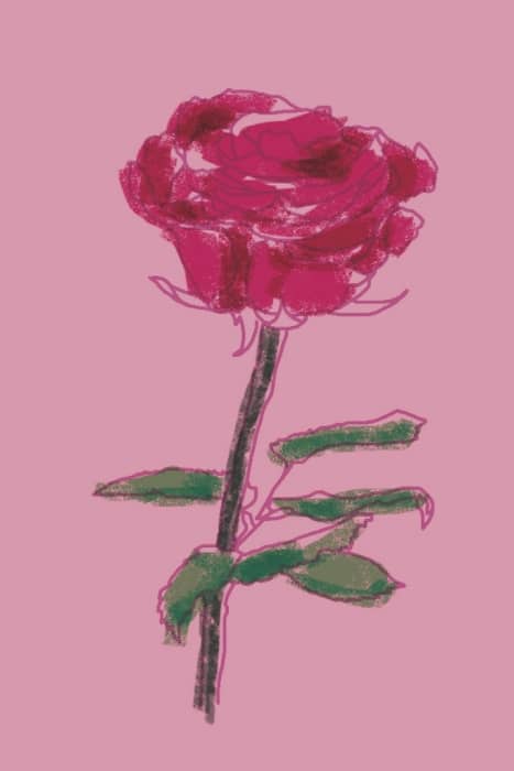 rosa de la Bella y la Bestia dibujo