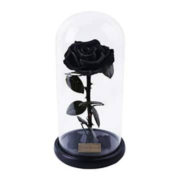 ▷ Rosa Eterna Negra: 40 Mejores para Comprar