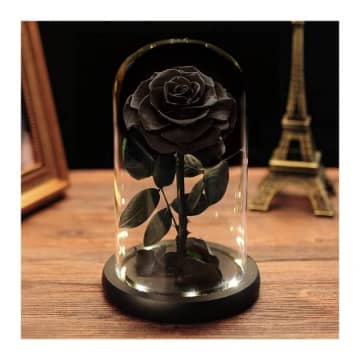 ▷ Rosa Eterna Negra: 40 Mejores para Comprar