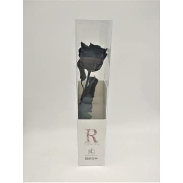 rosa preservada negra tallo comprar