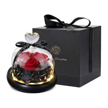 rosa roja eterna cupula comprar