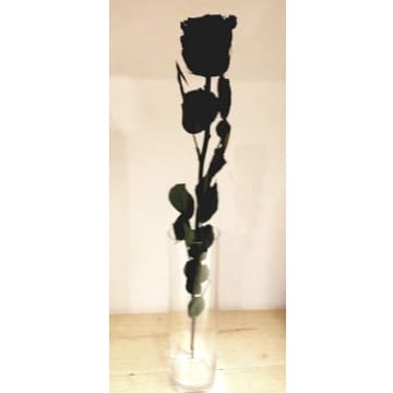 rosa negra encantada en jarron comprar