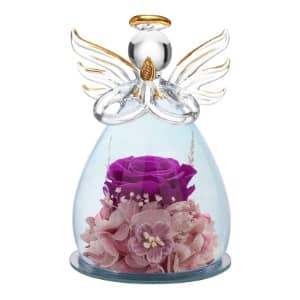 cupula angel rosa preservada lila